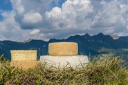 Cheese & mountains