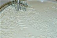 Making cheese at the Waldsamerhof - one of our dairy products 
