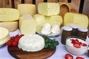 Cheese products