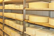 Cheese - one of our dairy products 