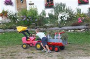 Divertirsi al Maso Waldsamerhof nella Valle di Casies