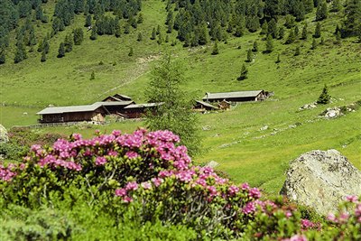 Almhütten im Gsiesertal