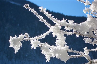 Winter at the Waldsamerhof