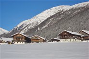 The holiday farmhouse Waldsamerhof in winter