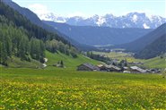 Panoramic view from the holiday farmhouse 