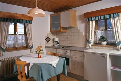 Küche in der Ferienwohnung des Waldsamerhofes